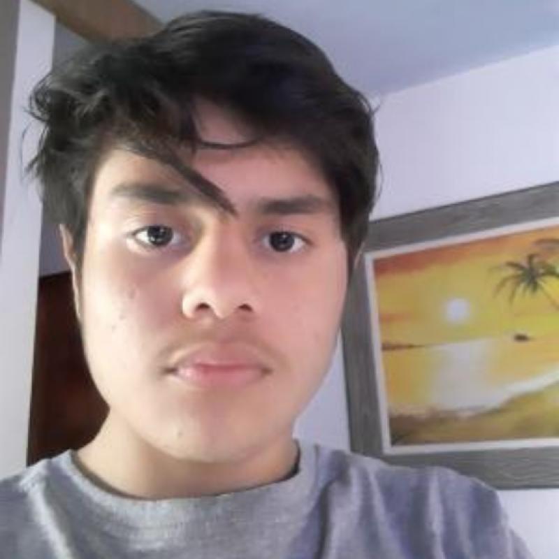 Matheus Gomes Issler